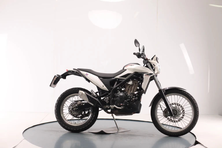 Beta ALP 4.0 2024 #4152